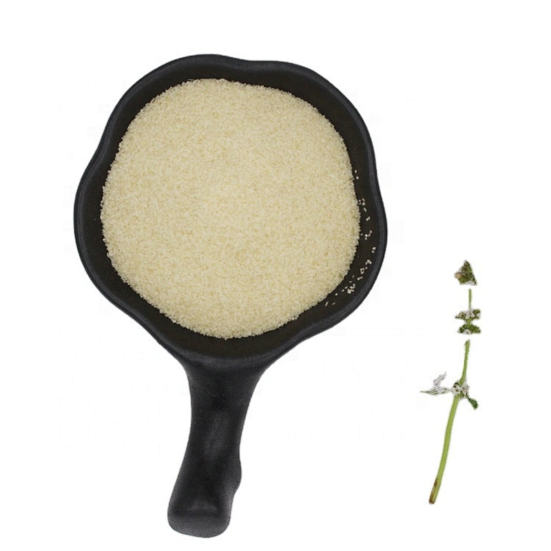 2024 new arrival manufacturer edible gelatin 20kg/bag 120 240 250 bloom gelatina